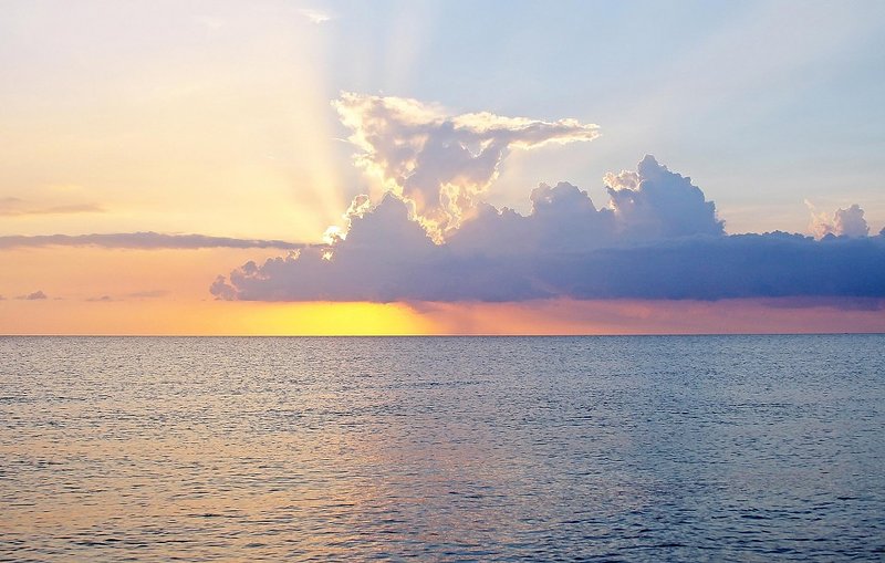 Рамина, 24 года, 4 размер груди